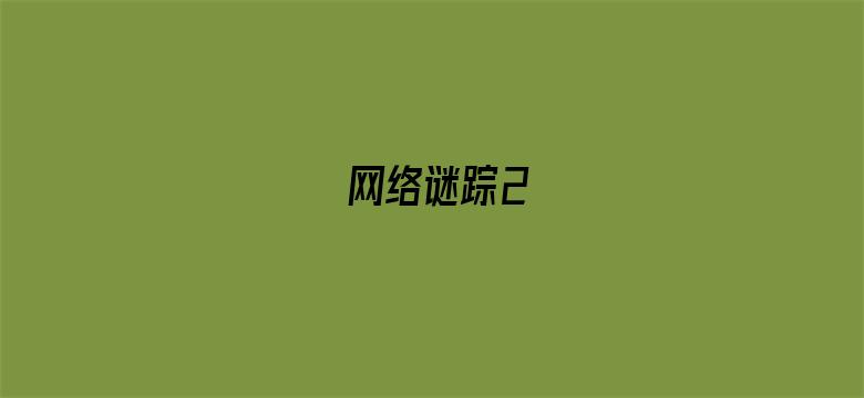 网络谜踪2